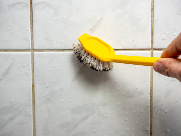 Best Emergency Mold Removal  in Goodhue, MN