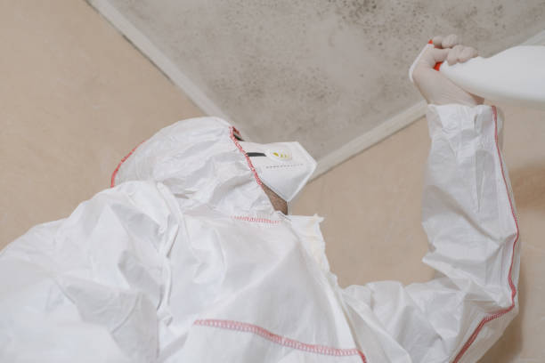 Best Crawl Space Mold Removal  in Goodhue, MN