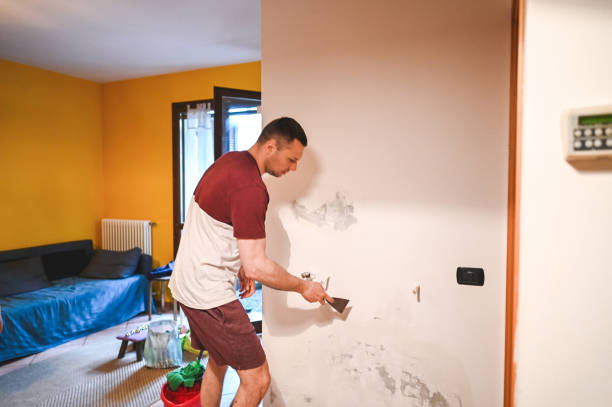 Best Fast Mold Removal  in Goodhue, MN